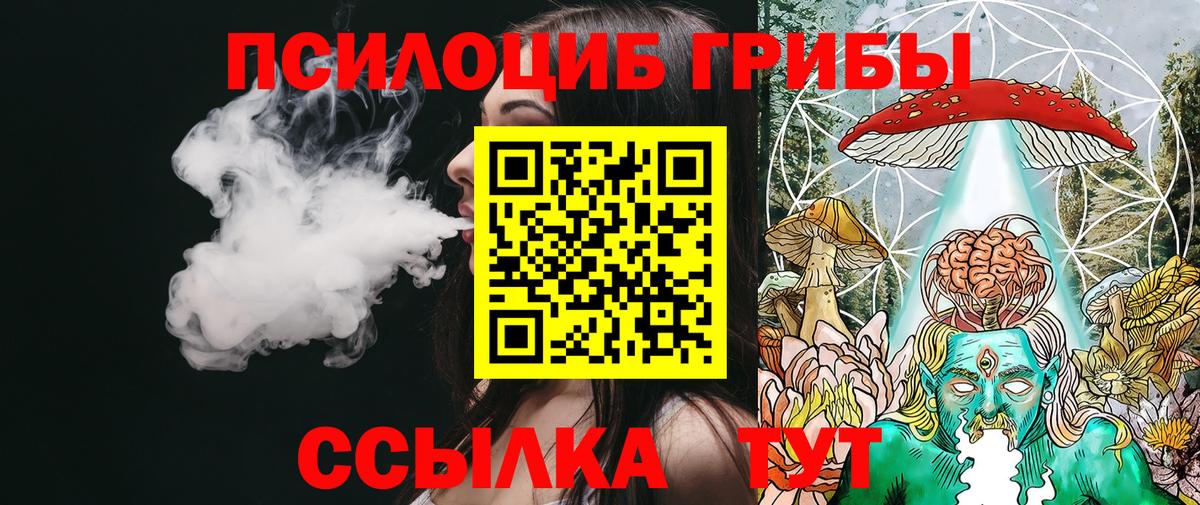 Псилоцибиновые грибы мухоморы Дмитров
